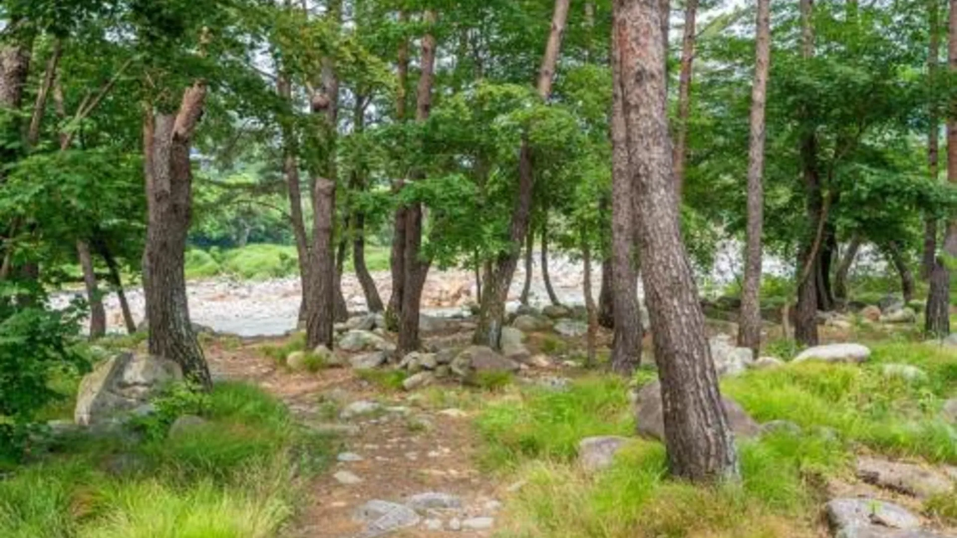 인제 백담 계곡 펜션 3성급 게스트하우스 객실
