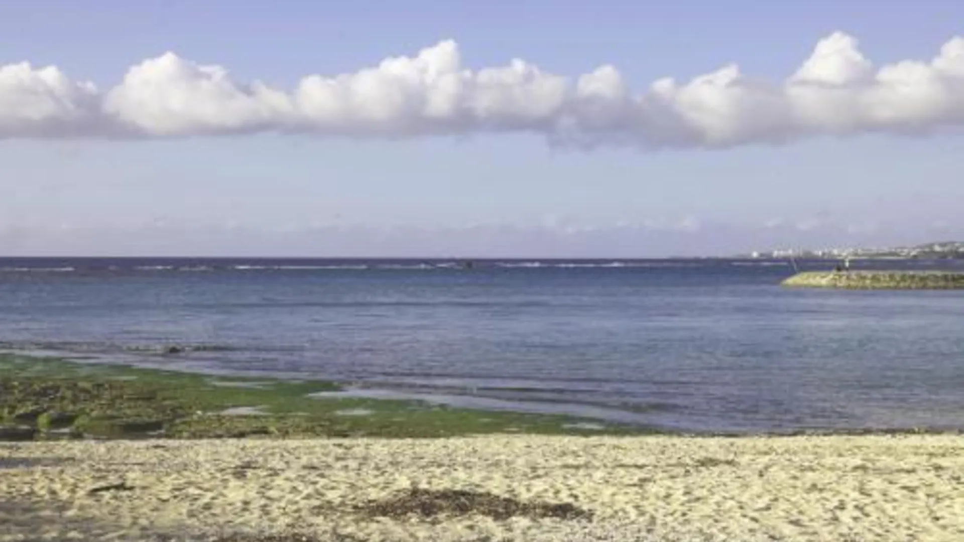 오키나와 본섬 테라스 리조트 차탄 웨스트 [오키나와 메인아일랜드] 4성급 게스트하우스 레스토랑