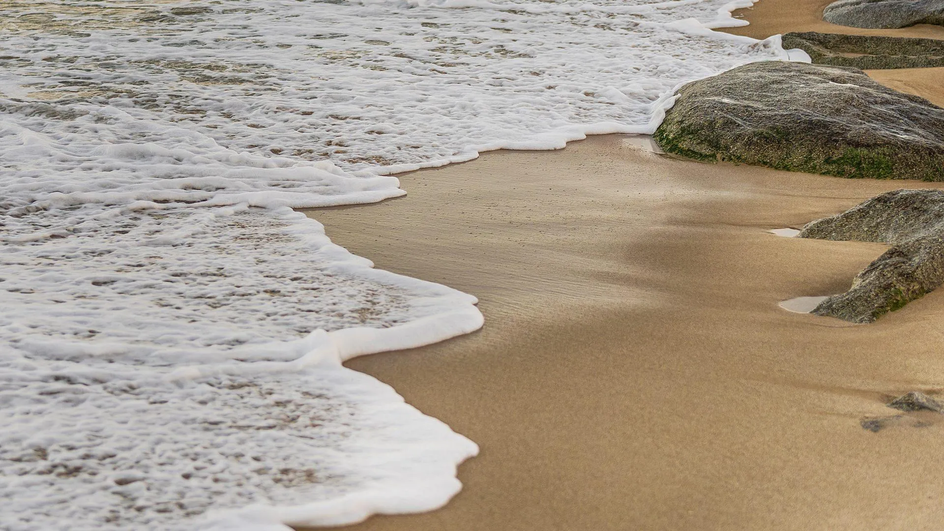 양양 양양 메종드메르펜션 2성급 게스트하우스 수영장
