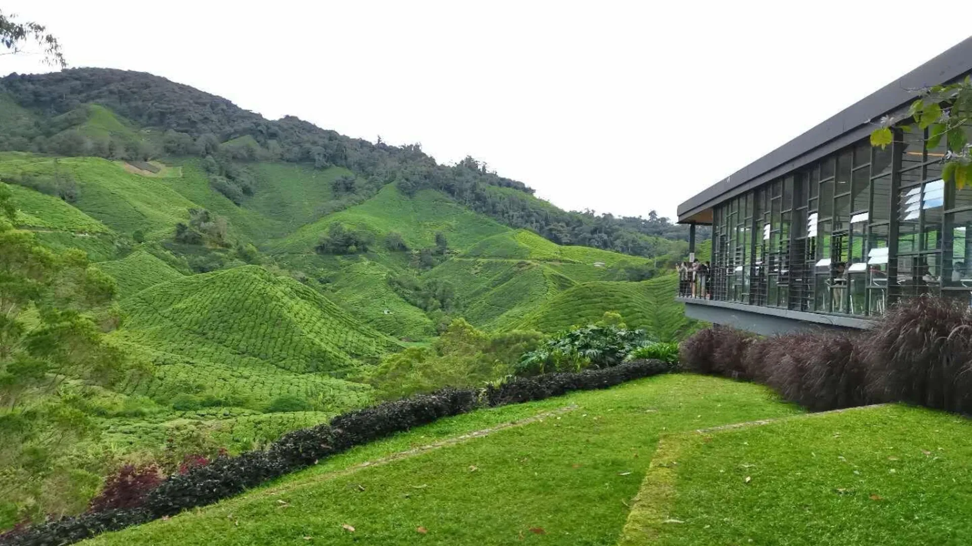 카메론 하일랜즈 HomeSweetHome 113 Emerald Avenue Cameron [WiFi] 2성급 싱글룸 스위트룸