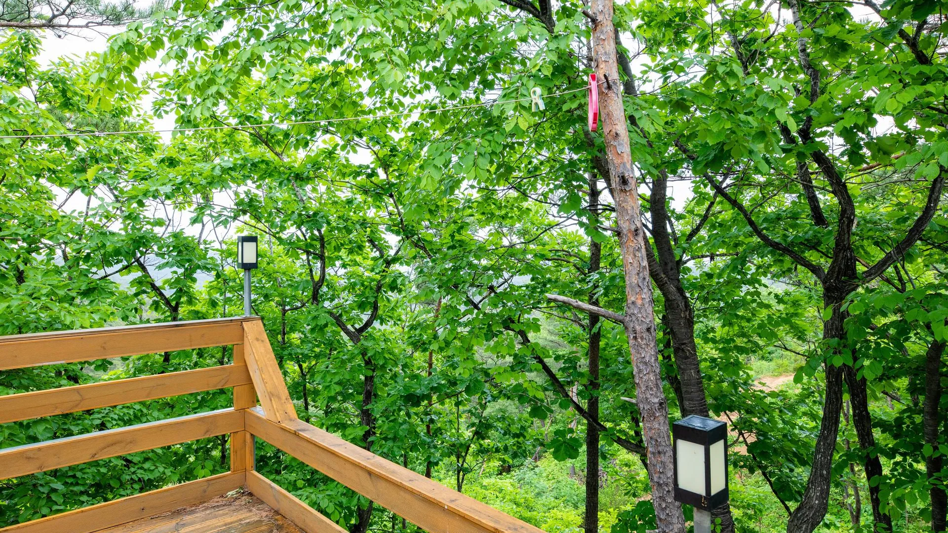 양양 청종 힐링숲 3성급 게스트하우스 전망