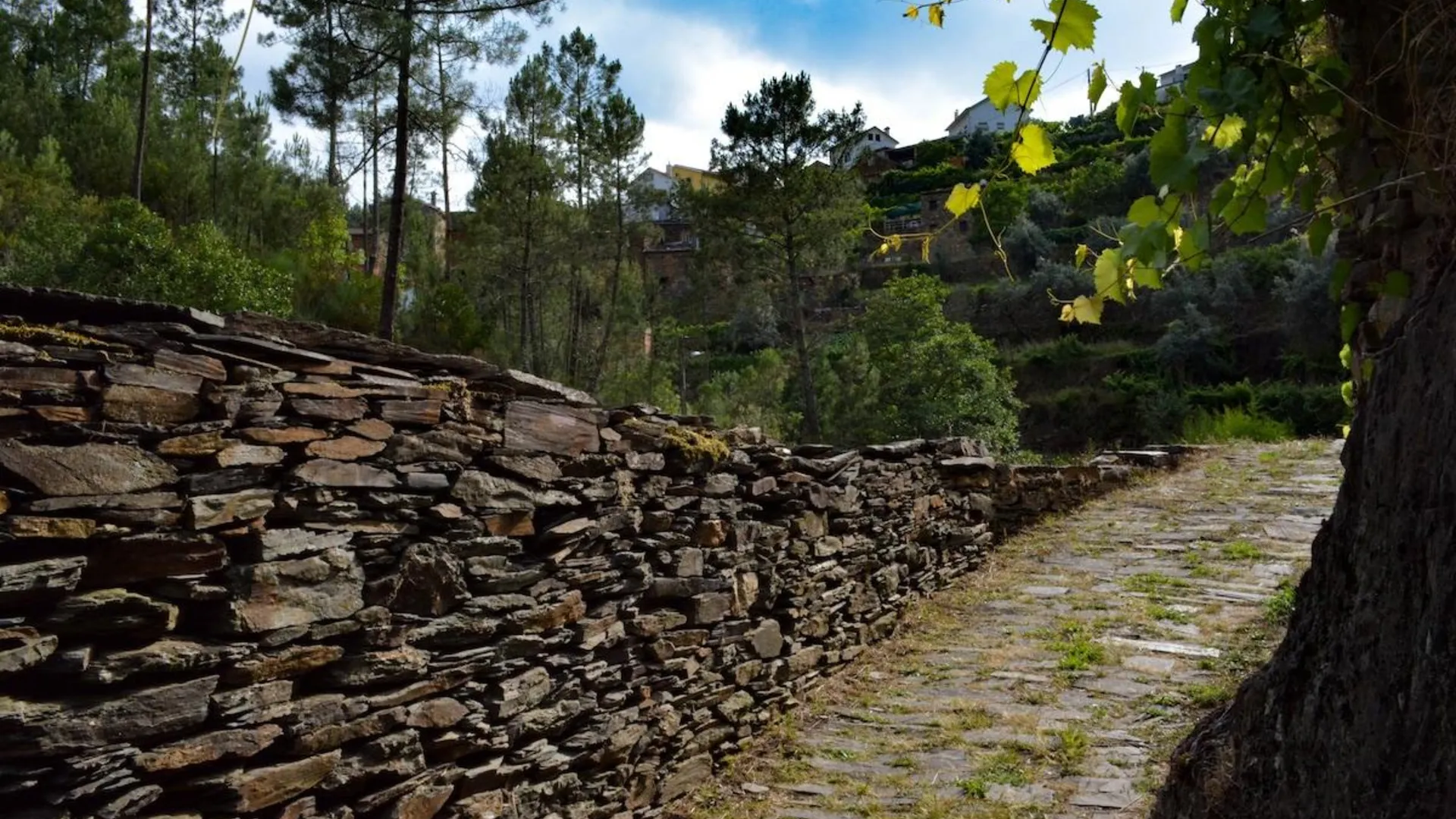 올리베이라 도 호스피탈 상 지앙의 프라이빗 하우스 (70m², 침실 1개, 프라이빗 욕실 1개) 2성급 싱글룸 객실