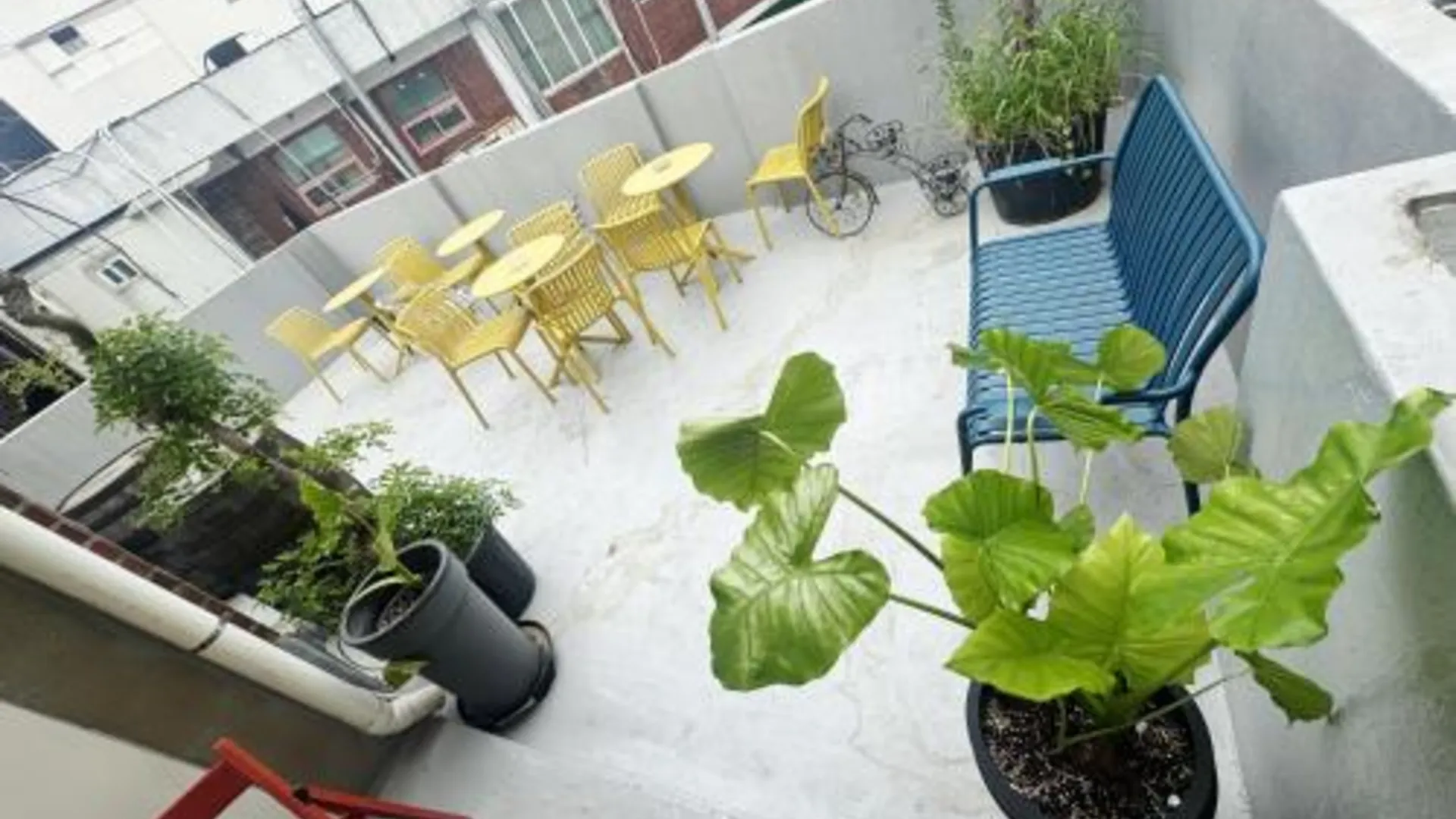 서울 호스텔 펠라즈 2성급 호텔 수영장