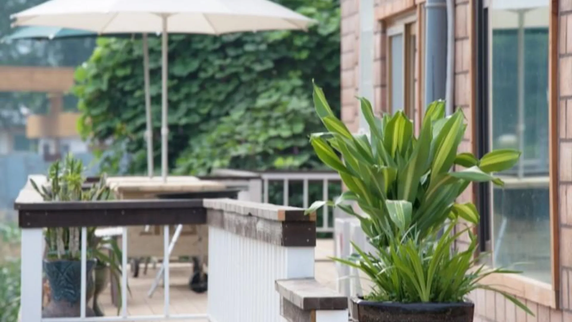 양평 양평 황토민박 2성급 게스트하우스 전망