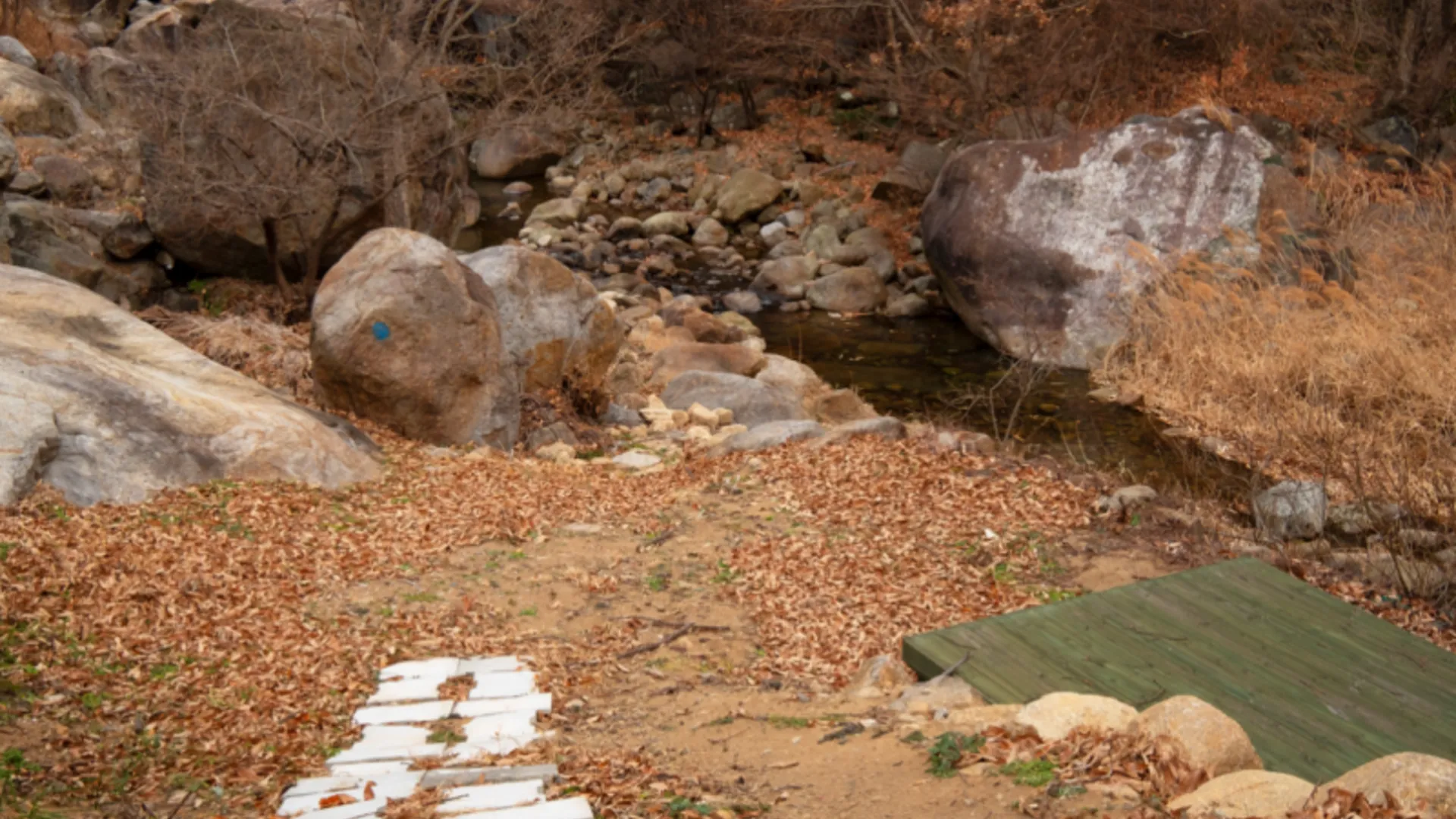하동 하동 힐링정원펜션 1성급 게스트하우스 객실