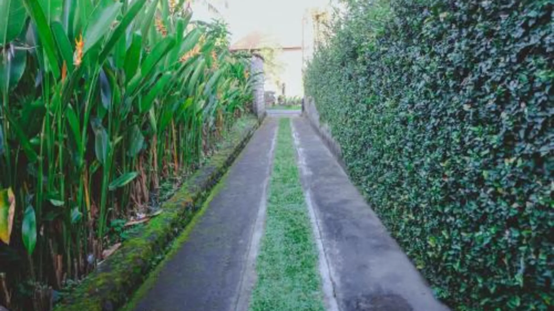 발리 D'sila House 호텔 전망