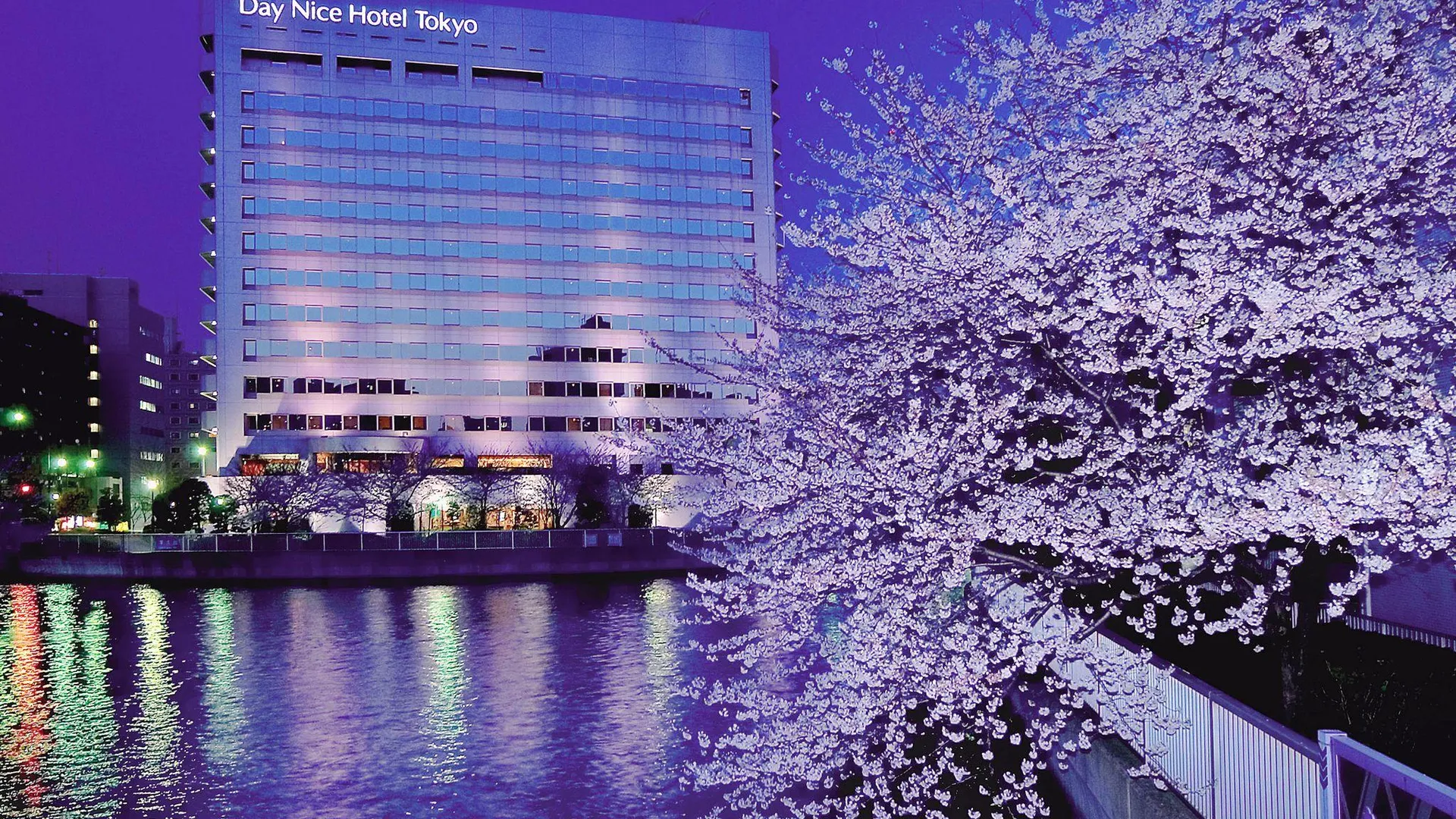 도쿄 / 동경 데이 나이스 호텔 도쿄 4성급 호텔 객실