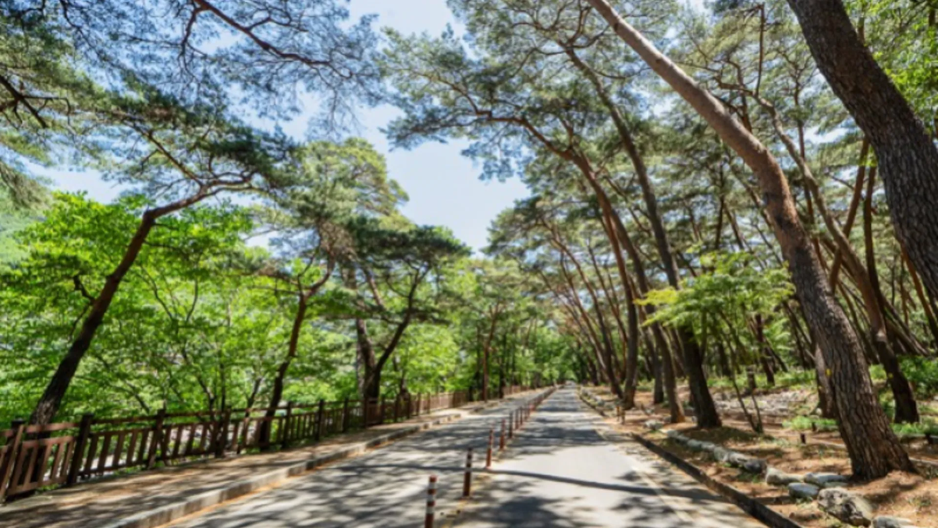 밀양시 밀양 연수네펜션 1성급 싱글룸 부대시설