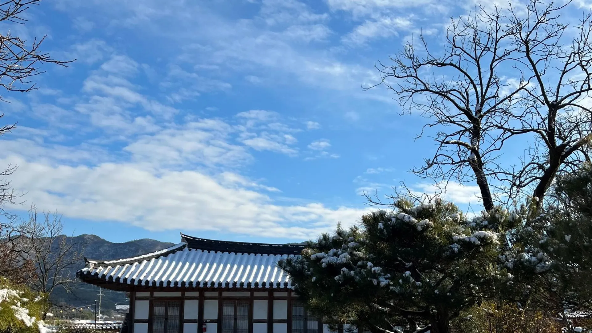 담양 한옥에서 펜션 2성급 게스트하우스 전망