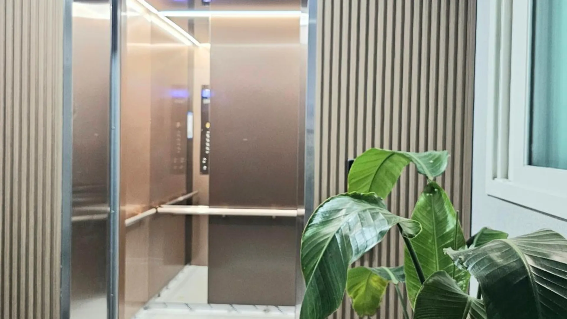 서울 송파의 프라이빗 하우스 (43m², 침실 2개, 프라이빗 욕실 1개) 3성급 싱글룸 부대시설