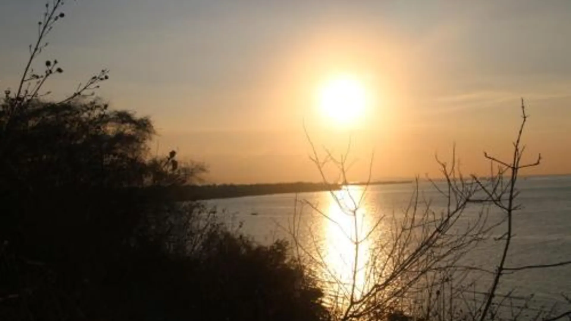 발리 Kubu Sari Guest House 2성급 호텔 부대시설