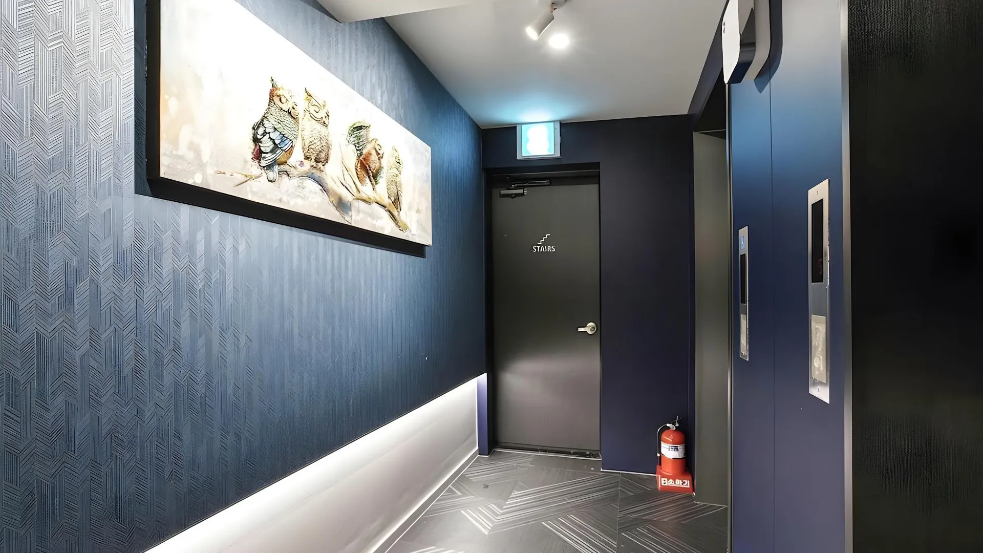 서울 잠실 톰지 호텔 1성급 호텔 수영장