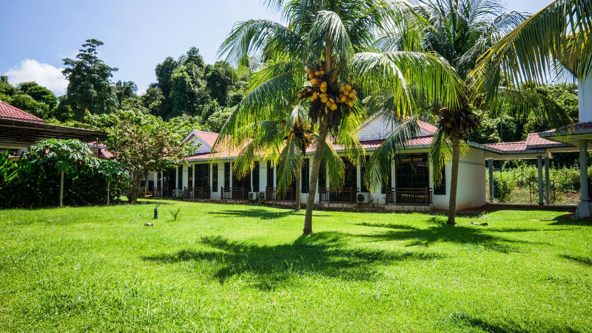 쿠알라 네랑 오요 44033 테라프 인 쿠알라 네랑 2성급 호텔 외관