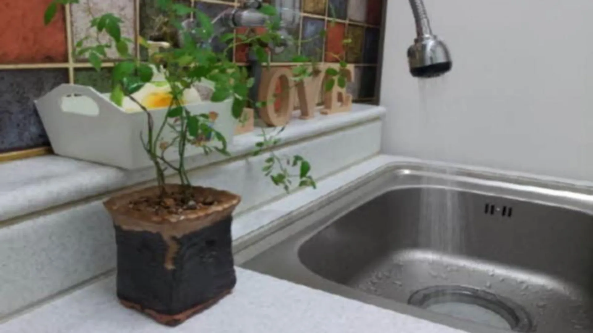 단양 단양 풀내음펜션 3성급 게스트하우스 객실