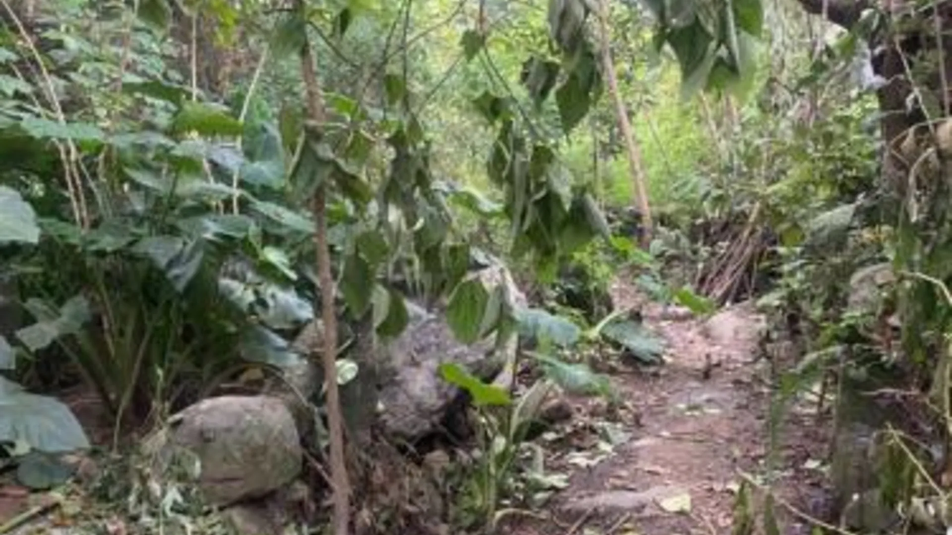 사파 Son Thoi Homestay 3성급 게스트하우스 객실