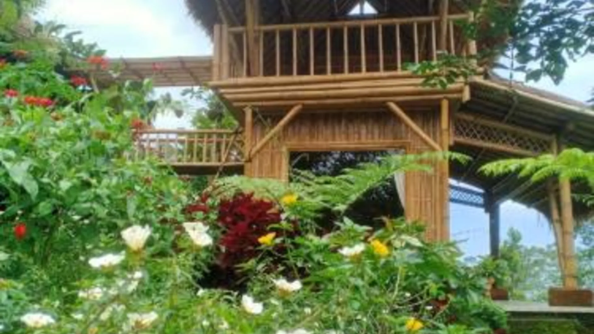 발리 Lembah Cinta Mayungan 3성급 게스트하우스 객실