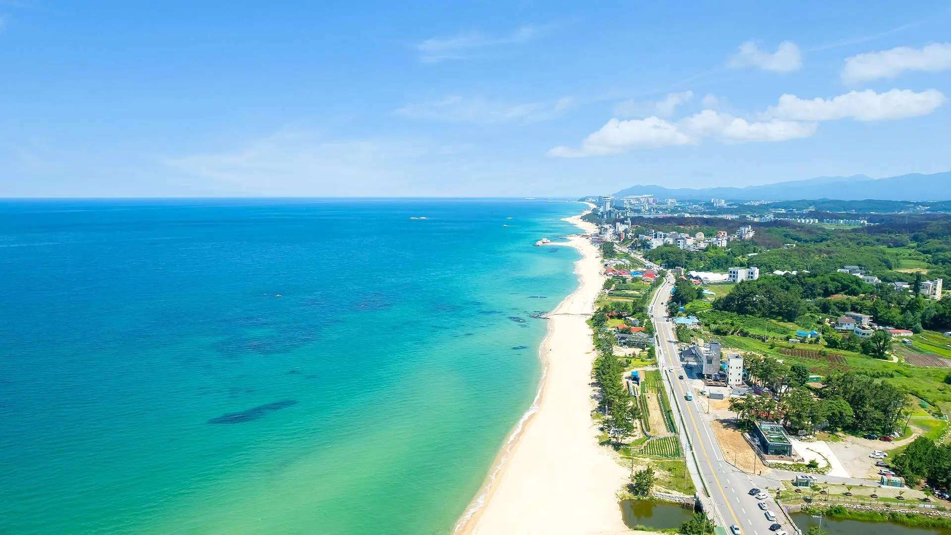 강릉 강릉 수와래 애견 동반 펜션 3성급 게스트하우스 전망