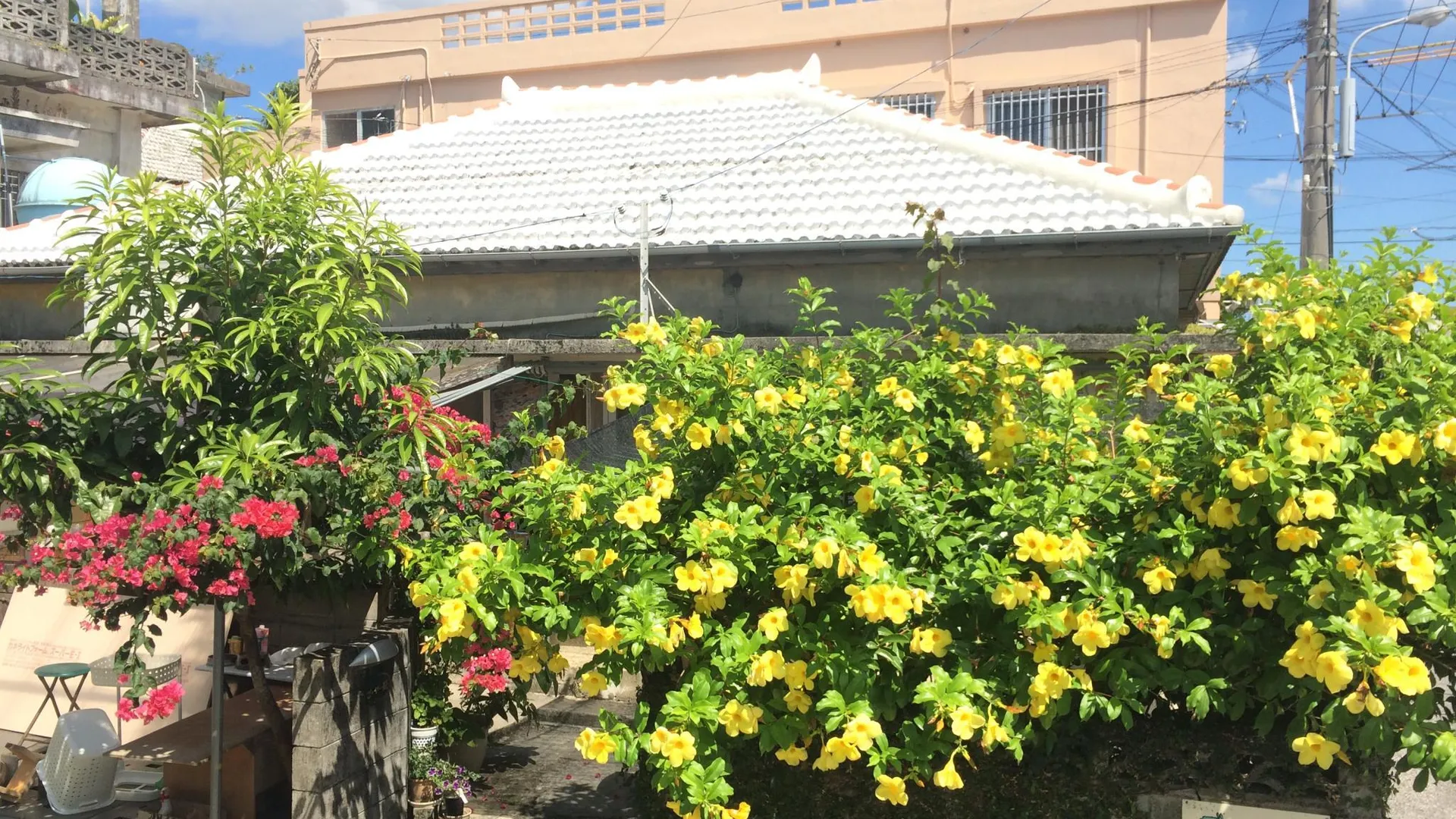 오키나와 본섬 고야-소 1성급 호텔 객실