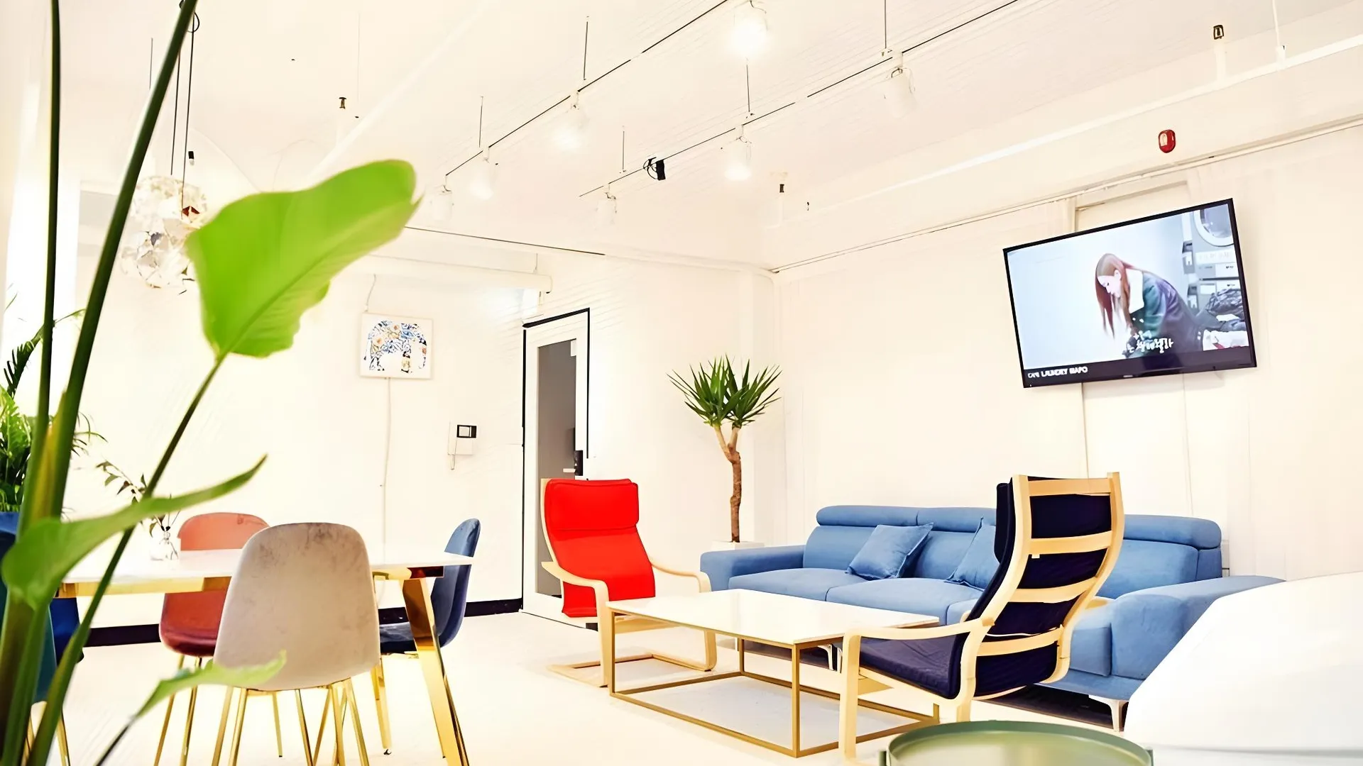 서울 남산 포레스트 게스트하우스 2성급 호텔 로비