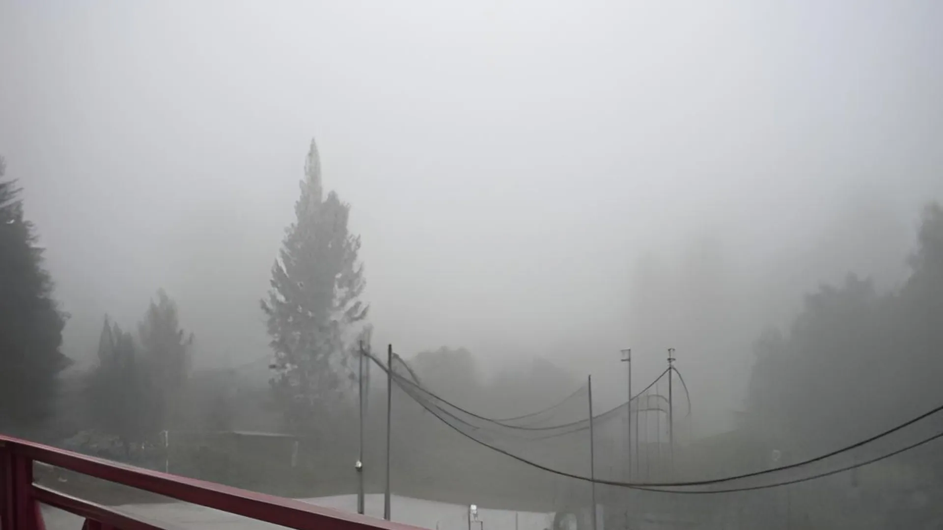 카메론 하일랜즈 패트릭 아파트먼트 @ 아이리스 하우스 리조트 2성급 게스트하우스 외관