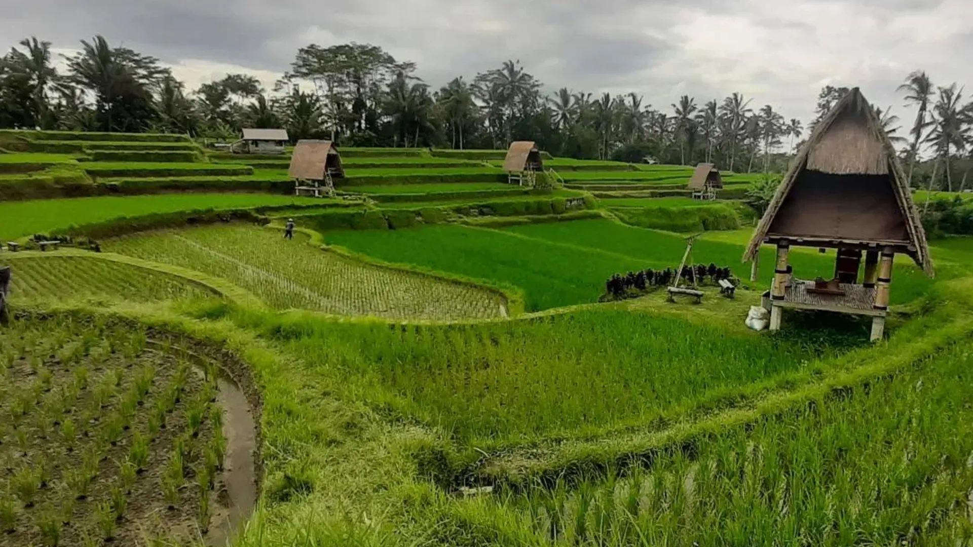 발리 우붓의 프라이빗 하우스 (10m², 침실 1개, 프라이빗 욕실 1개) 3성급 싱글룸 객실