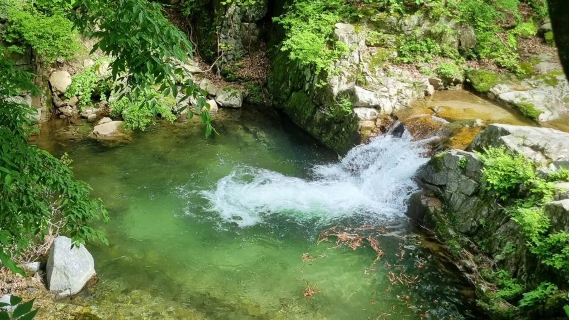 학발 성주 솔마루펜션 2성급 게스트하우스 객실