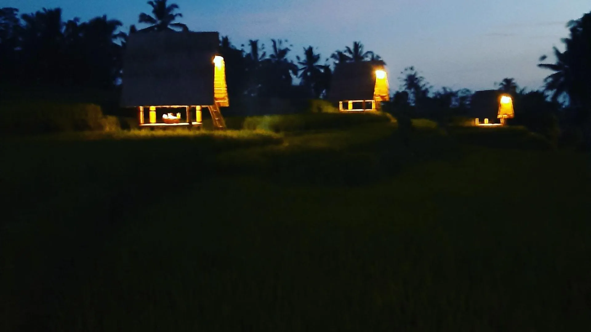 발리 우붓의 프라이빗 하우스 (10m², 침실 1개, 프라이빗 욕실 1개) 3성급 싱글룸 로비