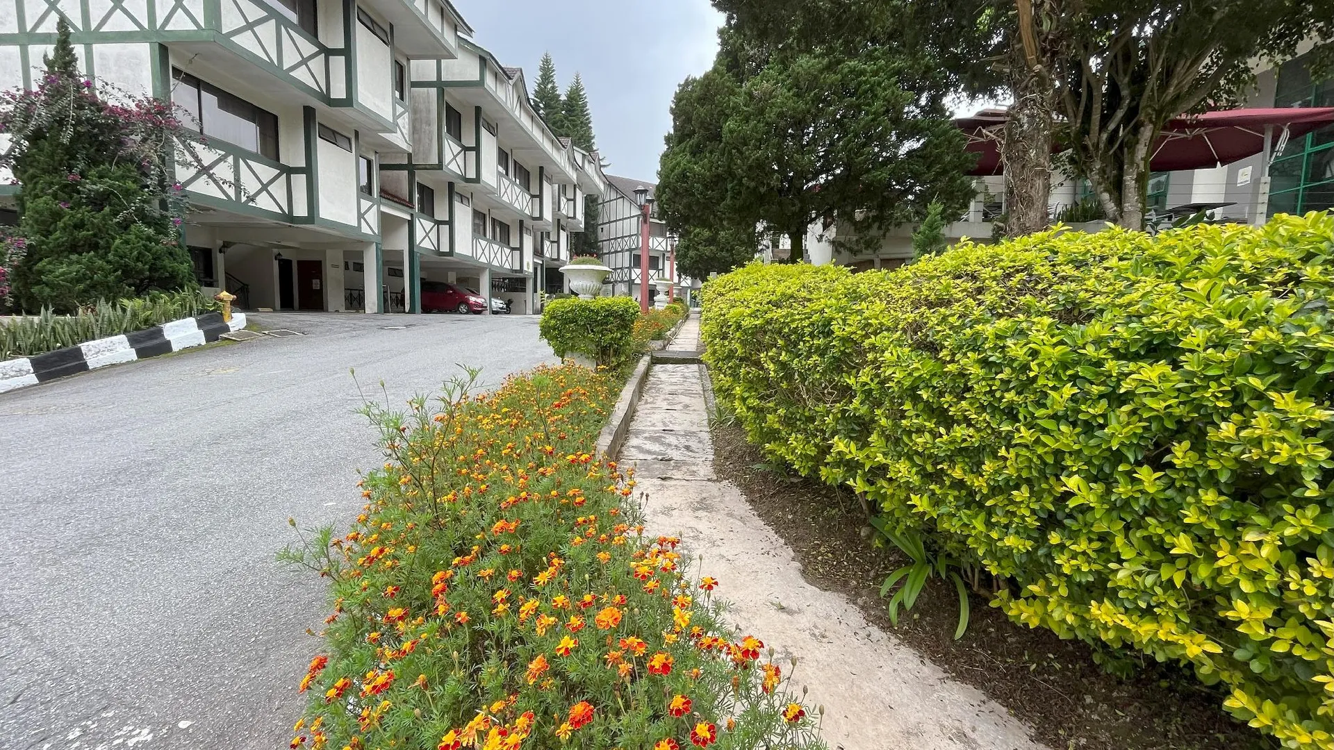 카메론 하일랜즈 브린창의 프라이빗 하우스 (100m², 침실 2개, 프라이빗 욕실 2개) 2성급 싱글룸 객실