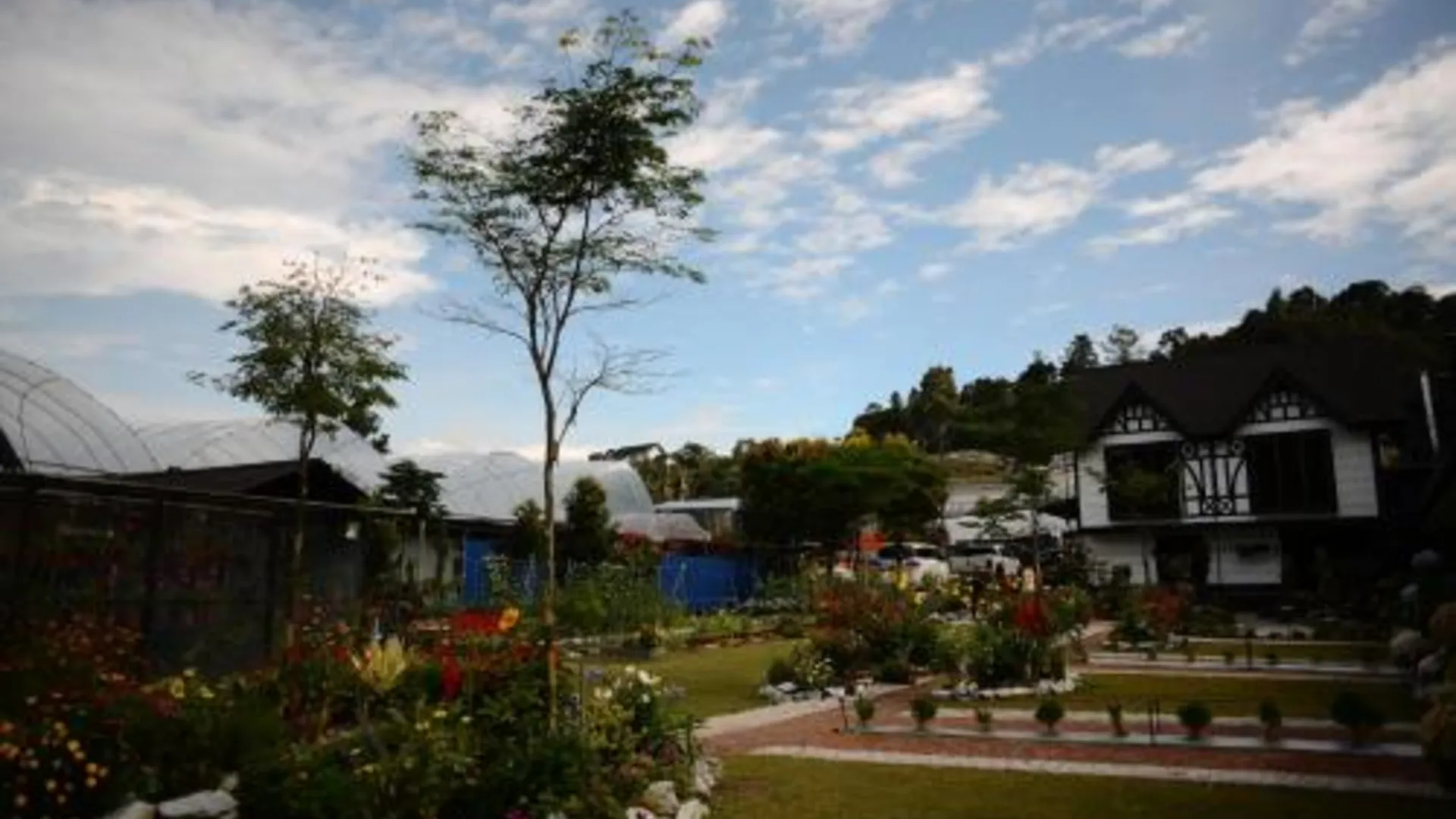 카메론 하일랜즈 Tiny Boutique Habitat 4성급 게스트하우스 객실