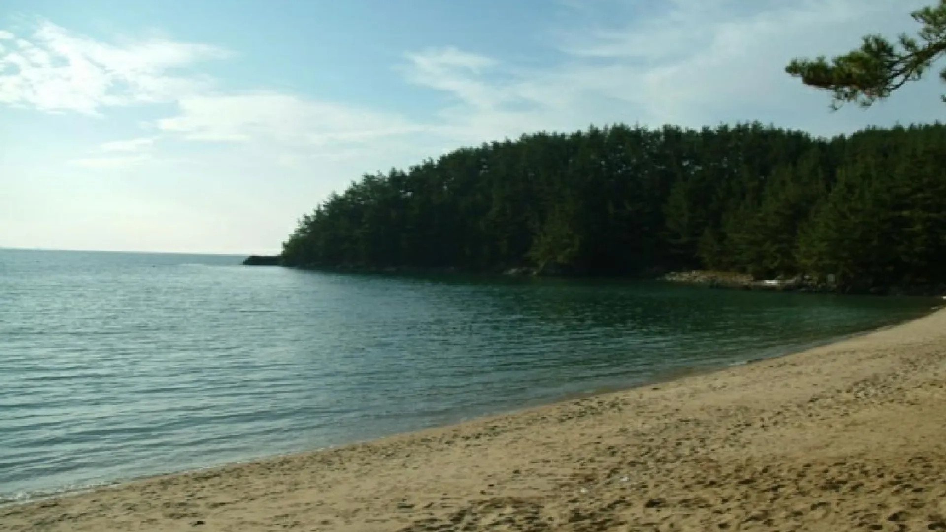 태안 태안 꾸지나무골펜션텔 2성급 게스트하우스 부대시설