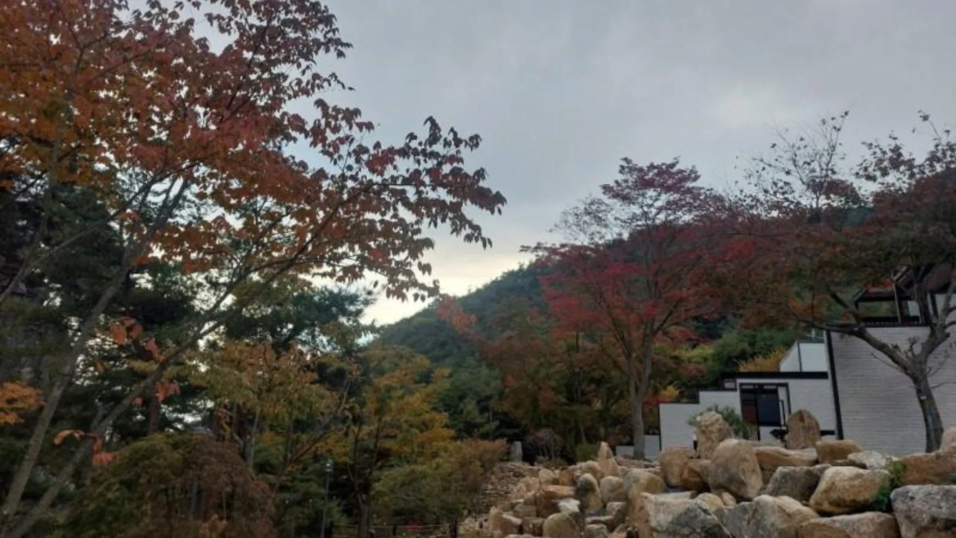 거창 거창 샛담펜션 1성급 게스트하우스 전망