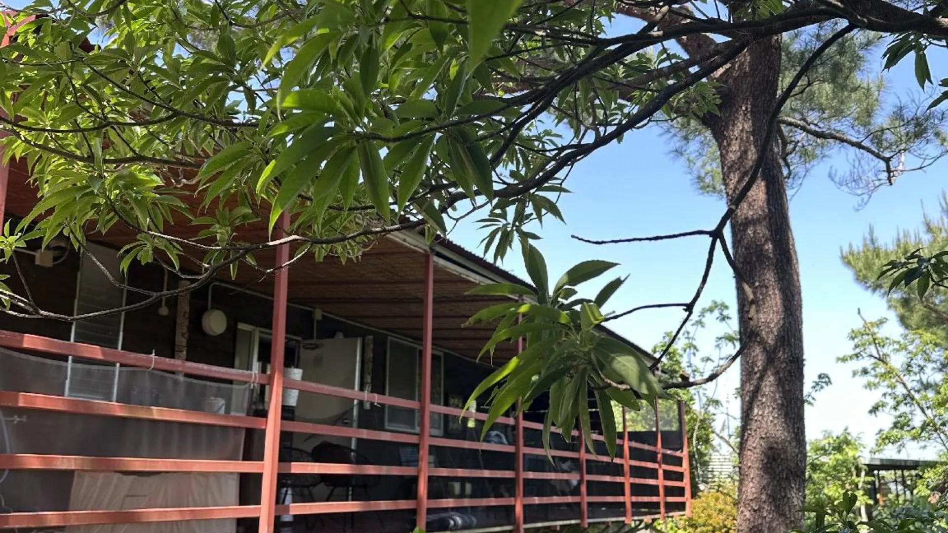 오키나와 본섬 나고의  (14.5m², 침실 1개, 프라이빗 욕실 1개) 3성급 싱글룸 수영장