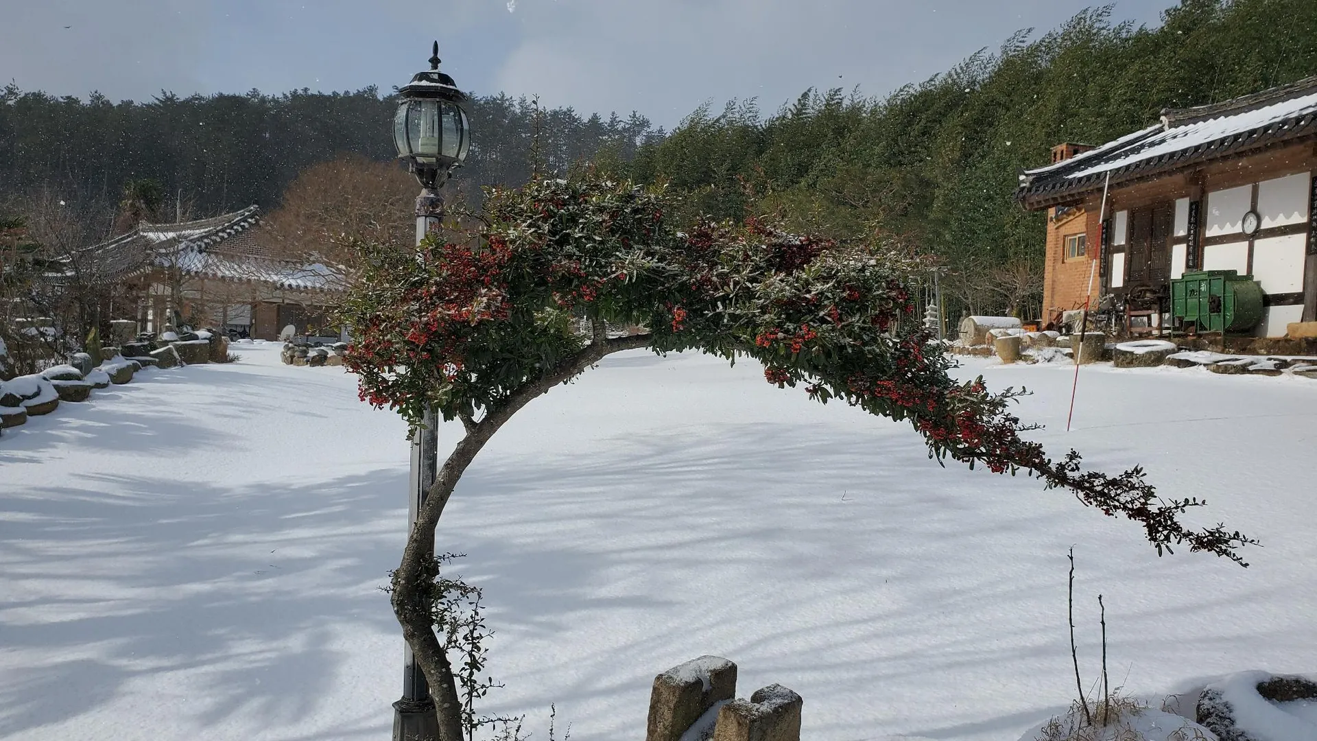 강진군 강진 다향소축민박 2성급 게스트하우스 레스토랑