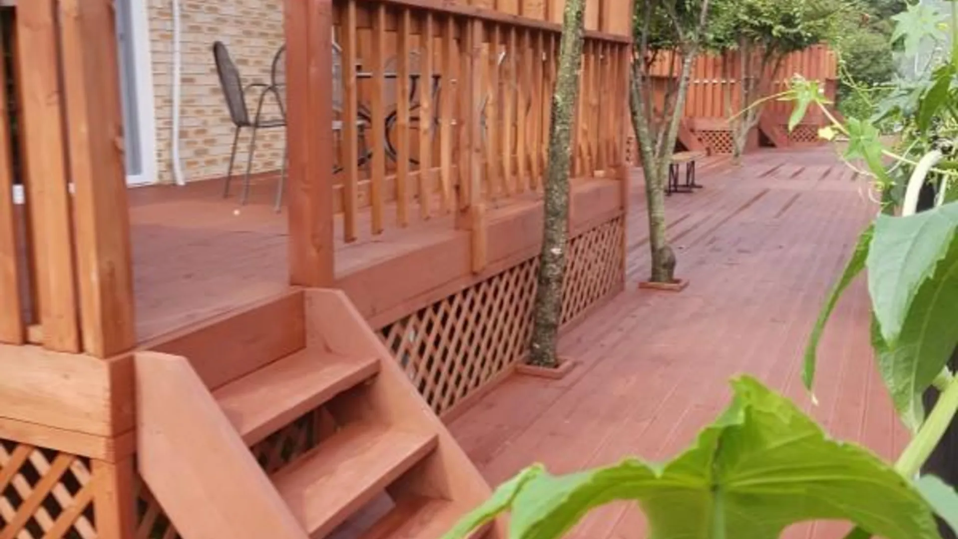 단양 단양 리더스펜션 2성급 게스트하우스 전망