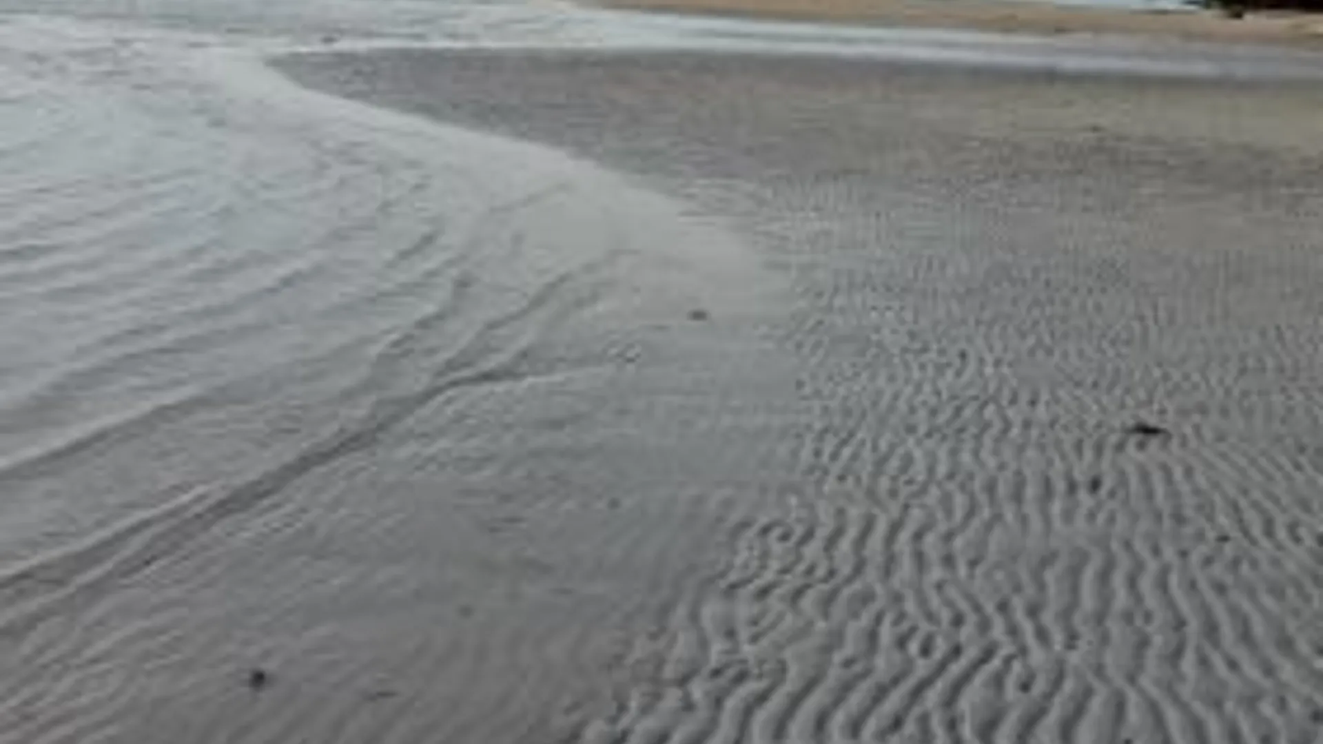 세부 리찌피나 커머셜 플라자 3성급 게스트하우스 수영장