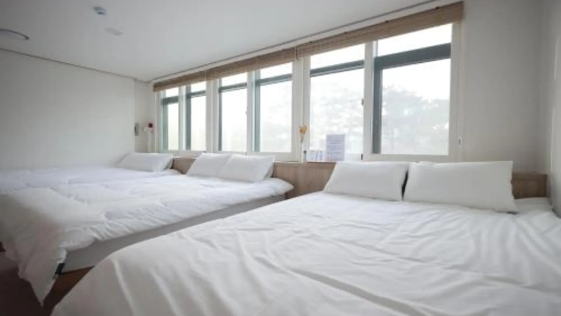 서울 만소 호스텔 in DDP 2성급 호텔 스위트룸