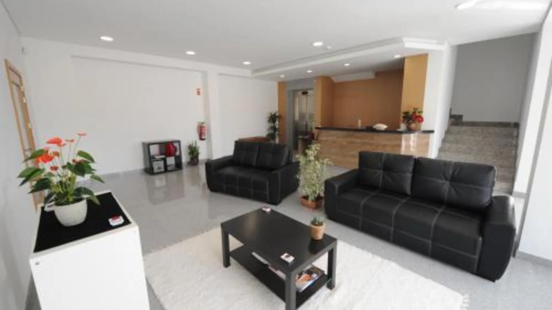 빌라 노바 데 파말리카오 Senhor dos Perdoes Alojamento Local 3성급 호텔 로비