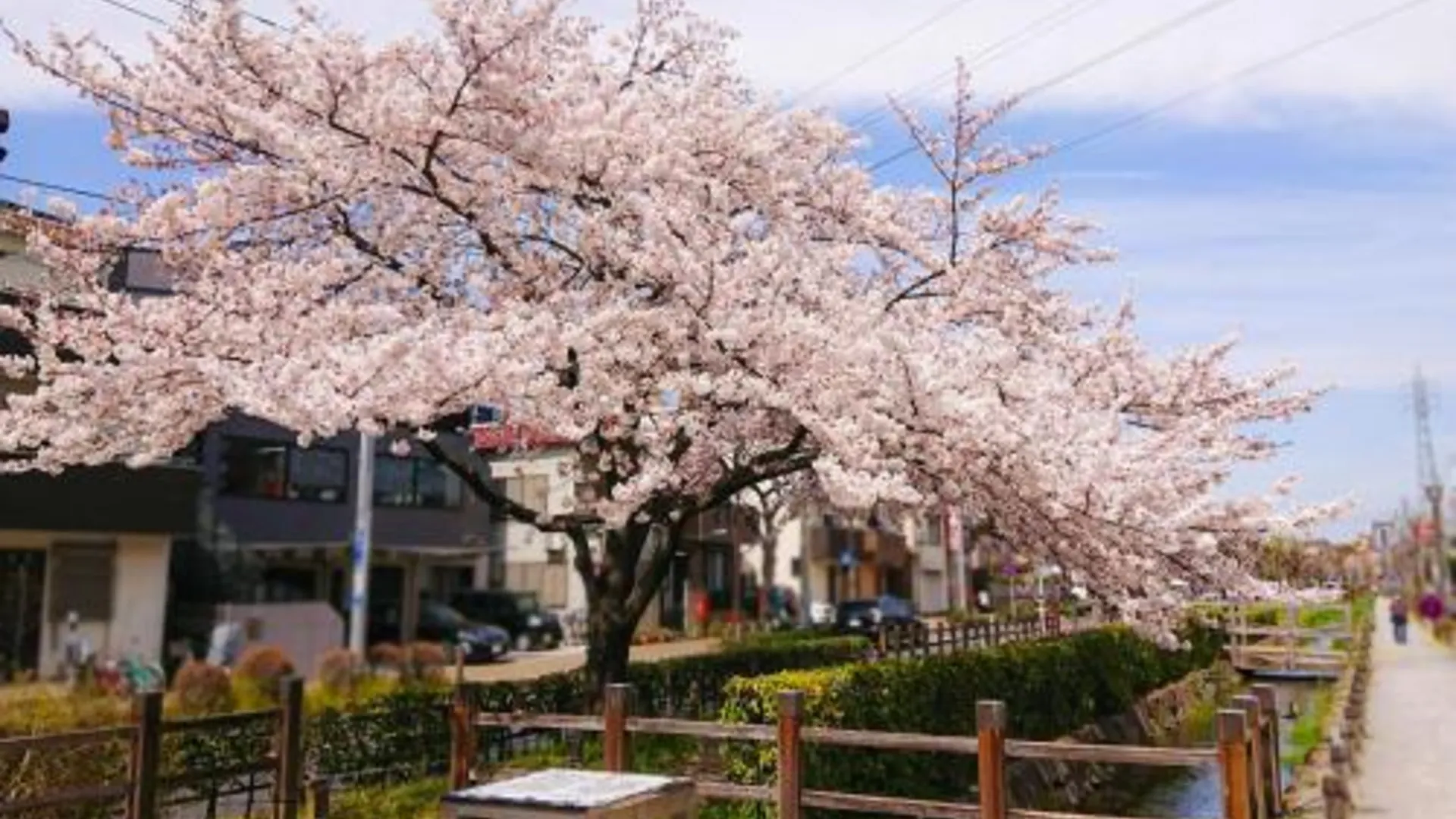 도쿄 / 동경 SC 102 Cozy Private Stay with Loft Near Station Free WiFi 3성급 싱글룸 부대시설