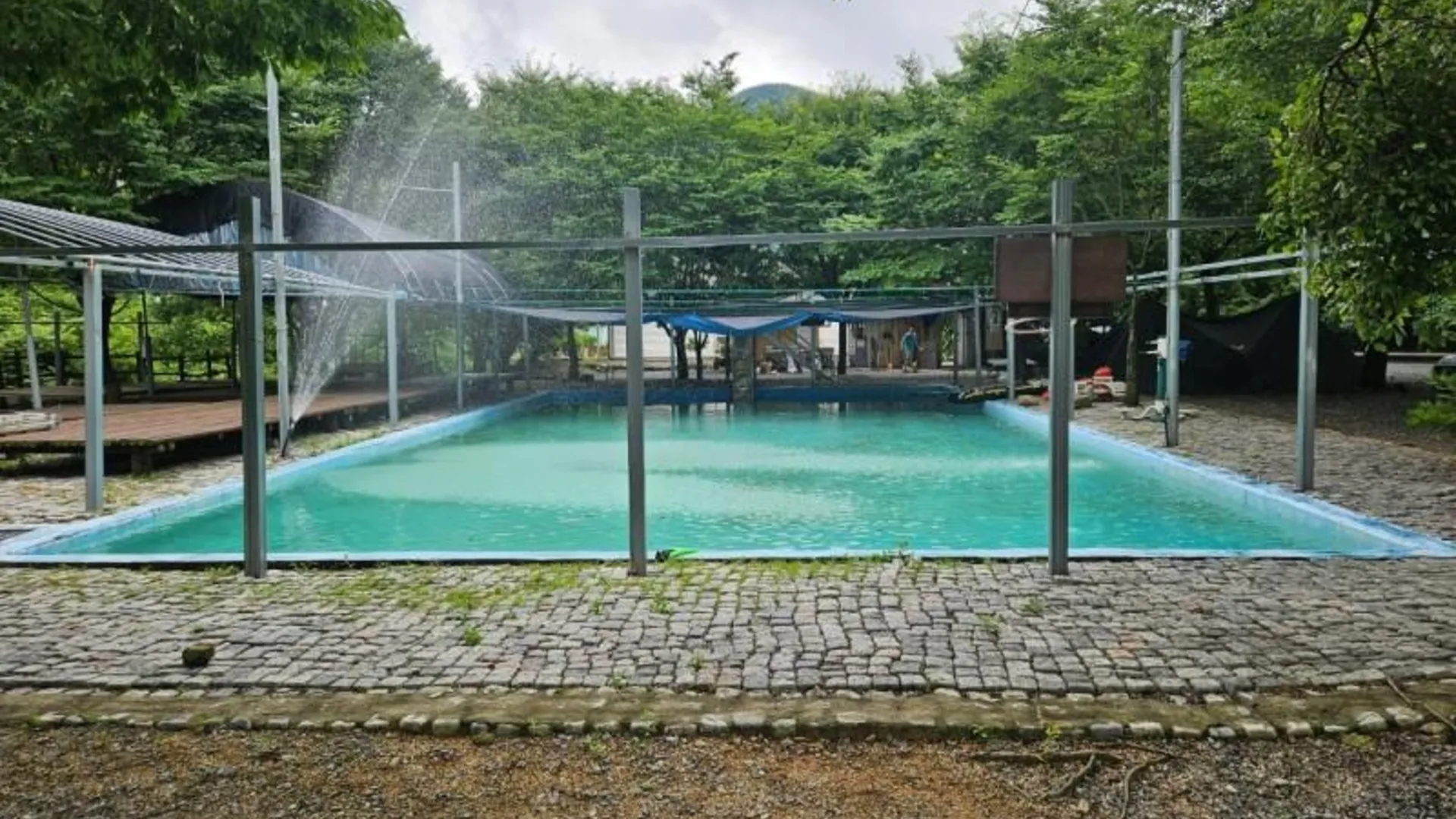 금산군 금산 파랑새펜션 2성급 게스트하우스 수영장