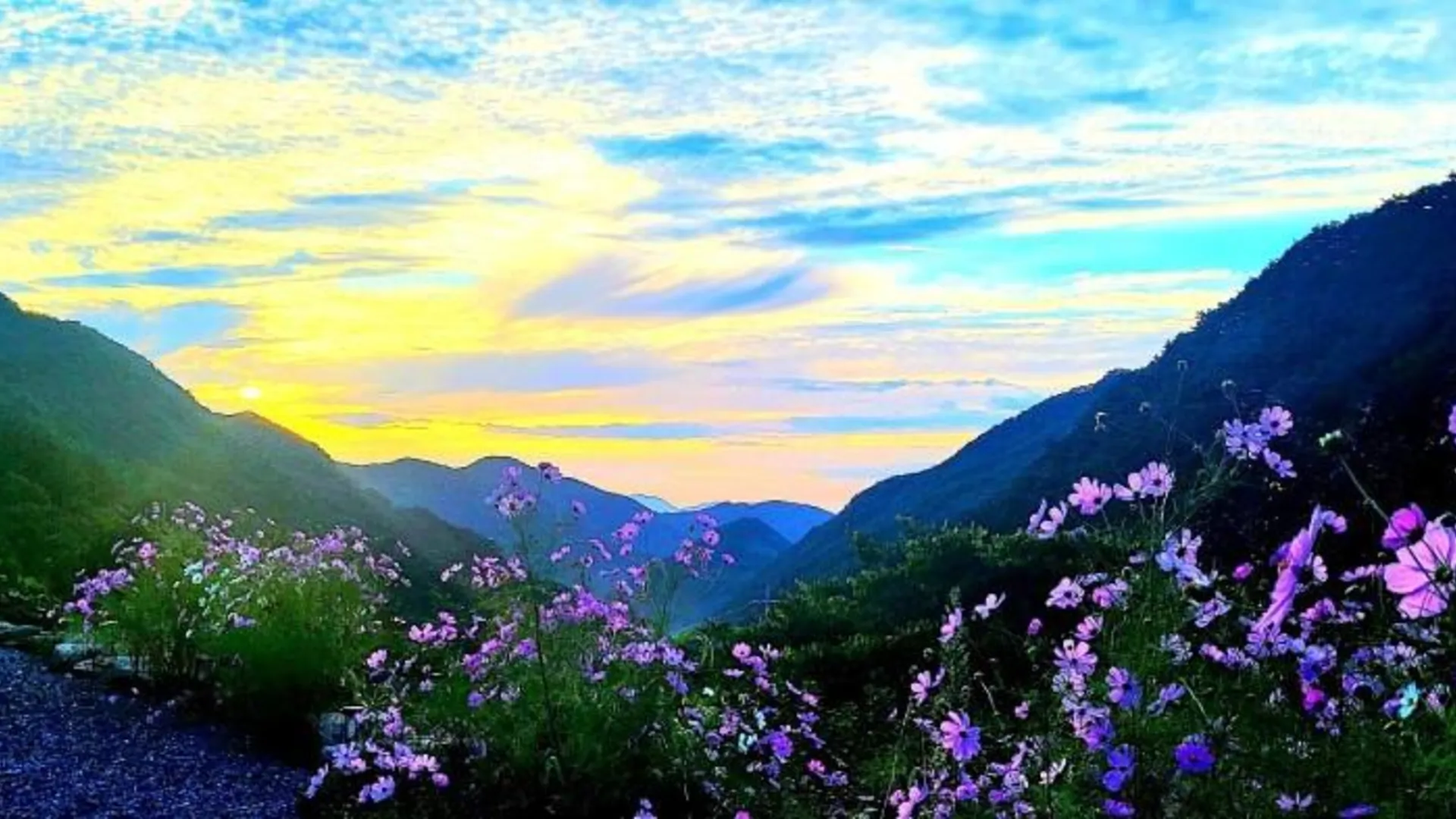 단양 단양 몽벨리펜션(소백산입구) 2성급 게스트하우스 부대시설