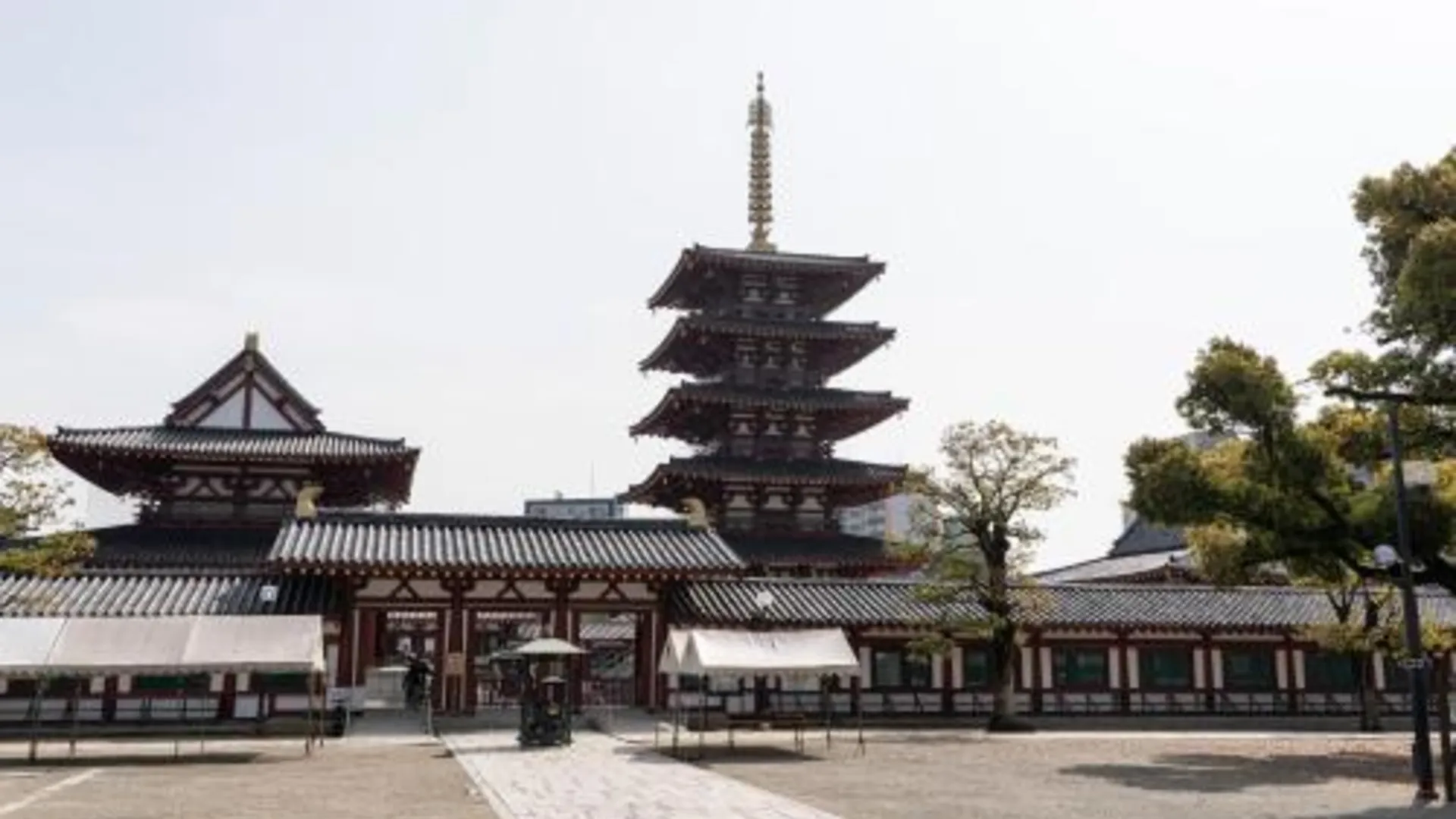 오사카 HOTEL FIVE plus -Adult Only- 3성급 호텔 스위트룸