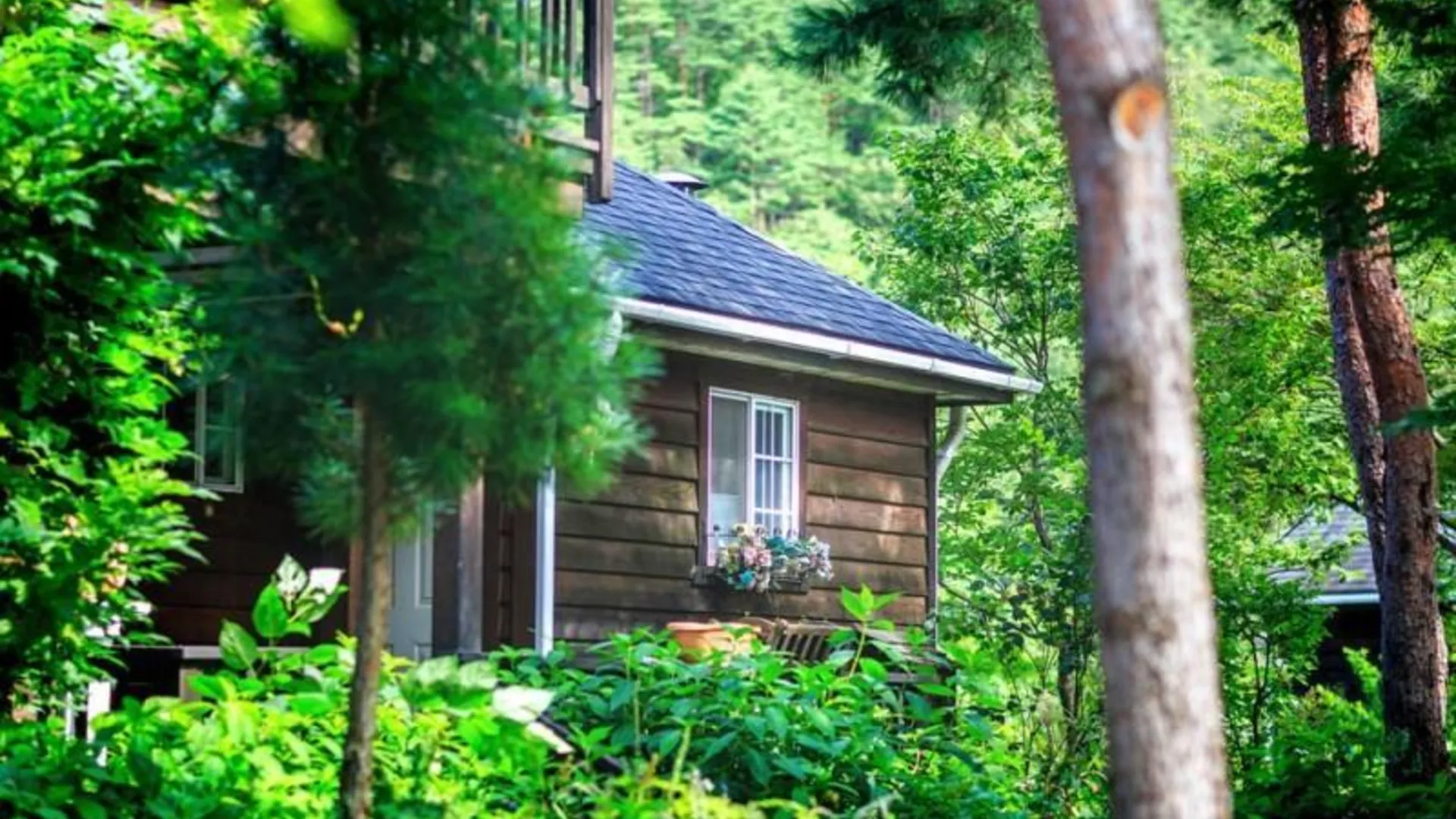 양양 양양 캐디스펜션 3성급 게스트하우스 객실