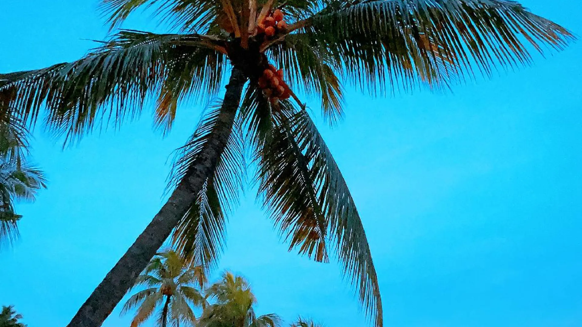 조호바루 / 조호르바루 겔랑파타 / 레고랜드의 아파트먼트 (59m², 침실 2개, 프라이빗 욕실 1개) 4성급 싱글룸 수영장