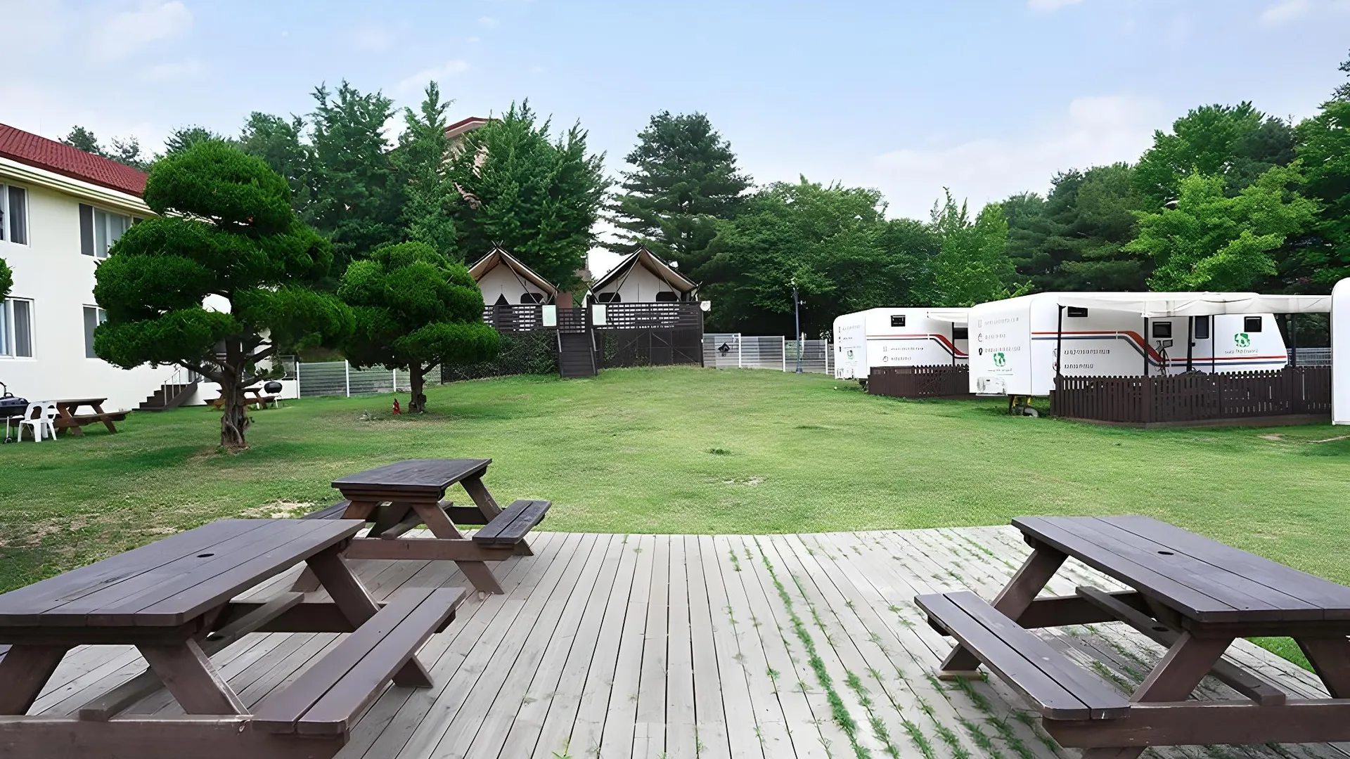 용인 골드 펫 리조트 3성급 게스트하우스 부대시설