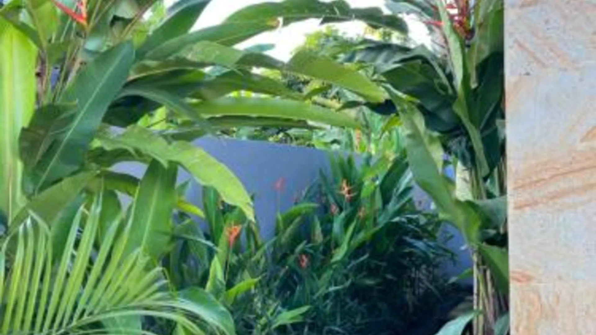 발리 Kubu In Dhana Guest House 2성급 싱글룸 객실