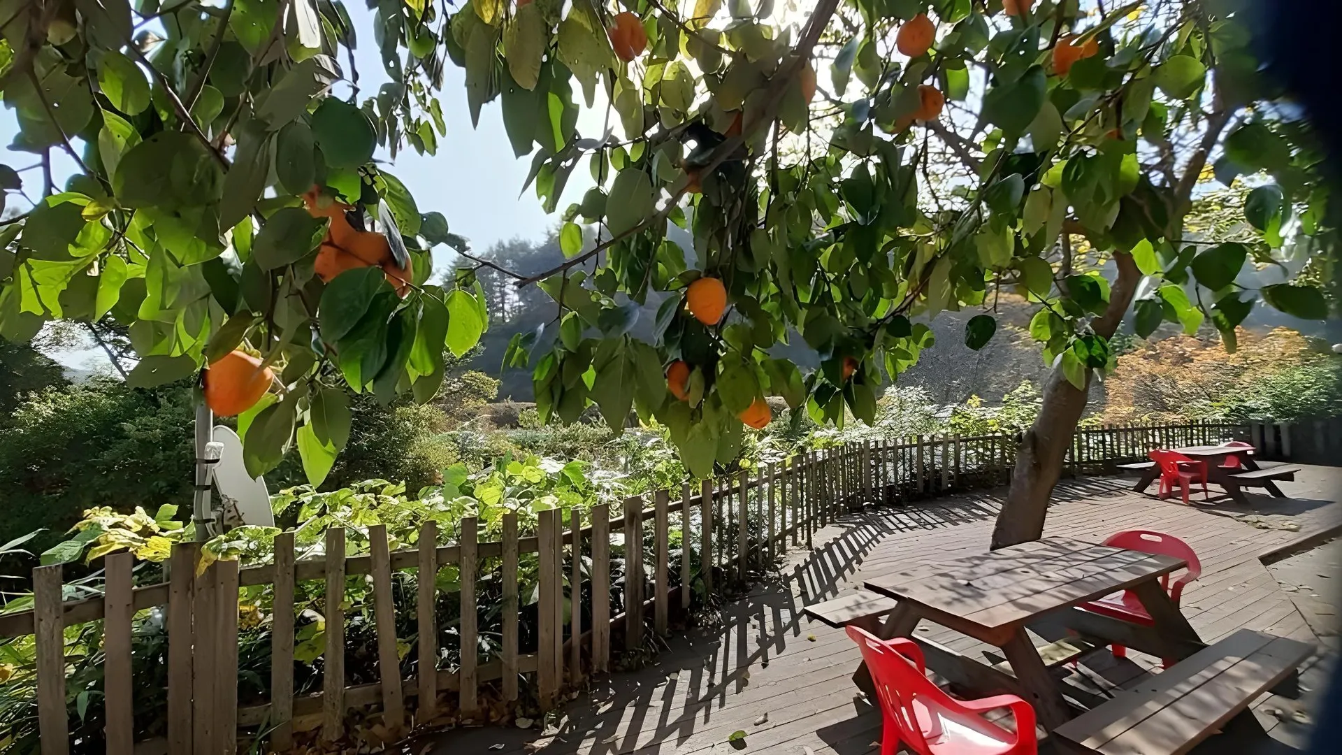 양양 다산방 펜션 2성급 게스트하우스 외관