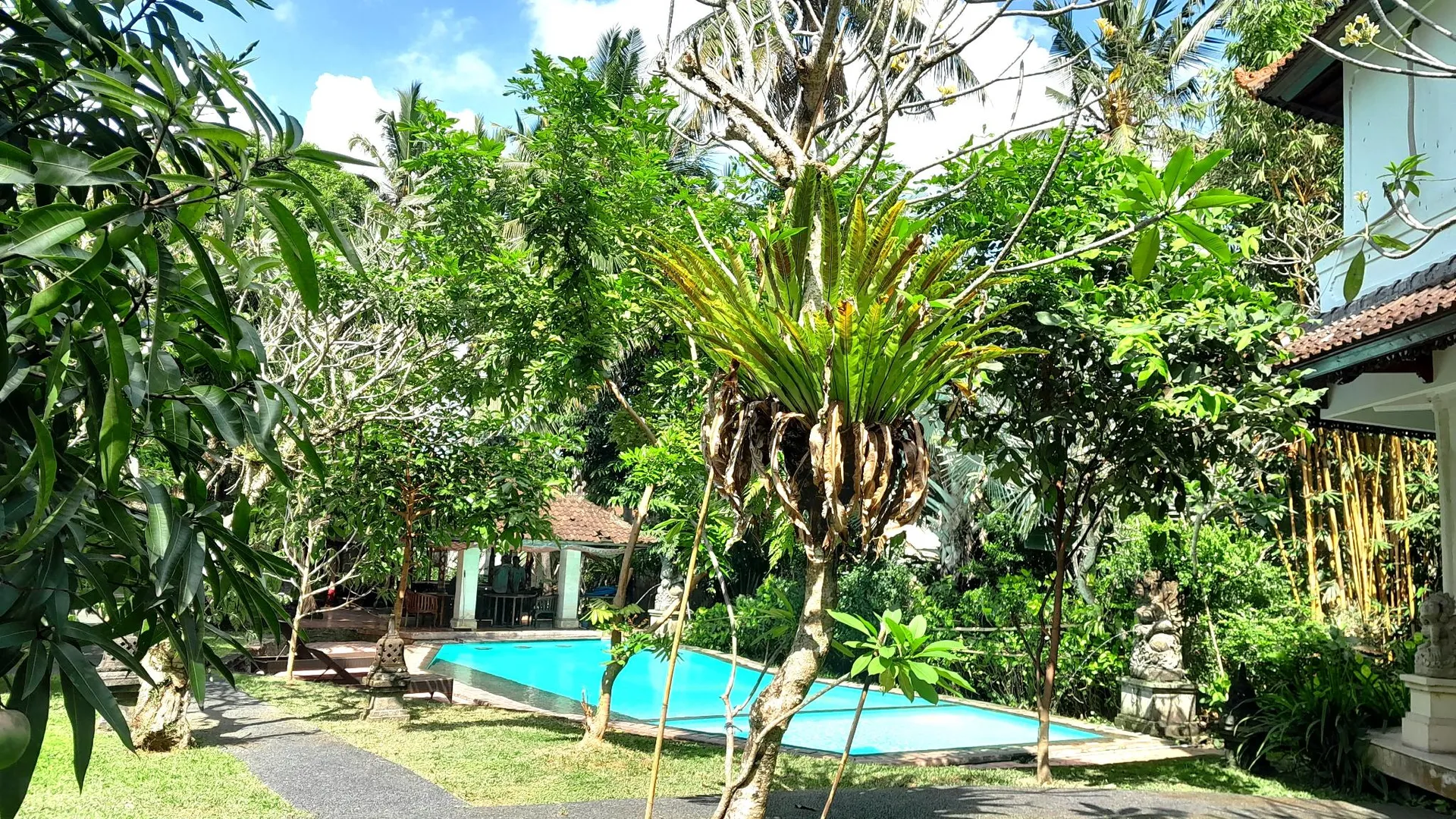 발리 파노라마 호텔 우붓 발리 3성급 호텔 수영장