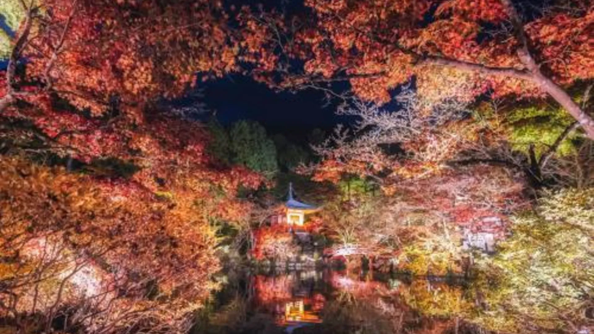 교토 OMO3 교토 토지 바이 호시노 리조트 3성급 호텔 부대시설