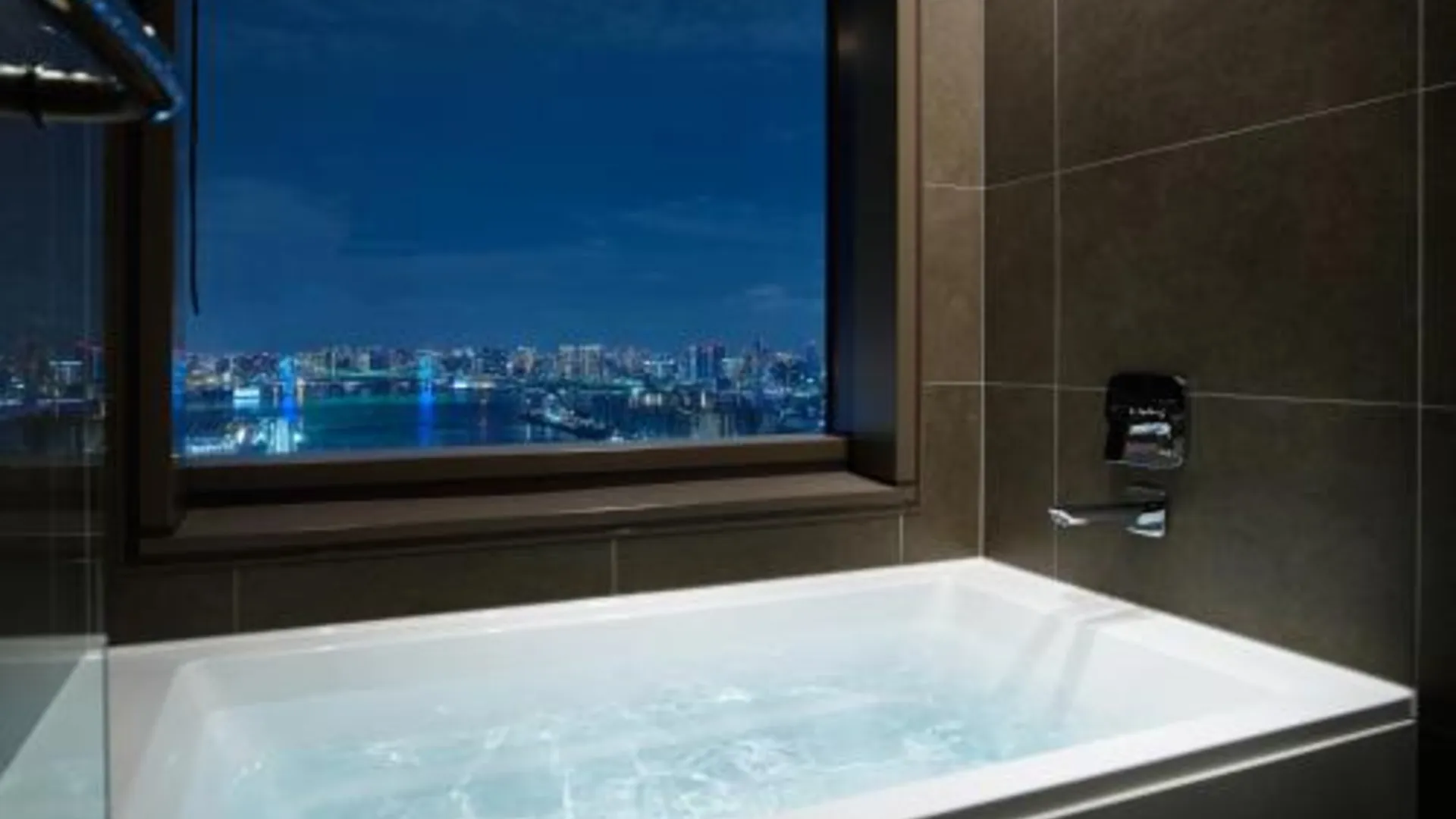 도쿄 / 동경 미츠이 가든 호텔 토요스 프리미어 / 도쿄 5성급 호텔 부대시설