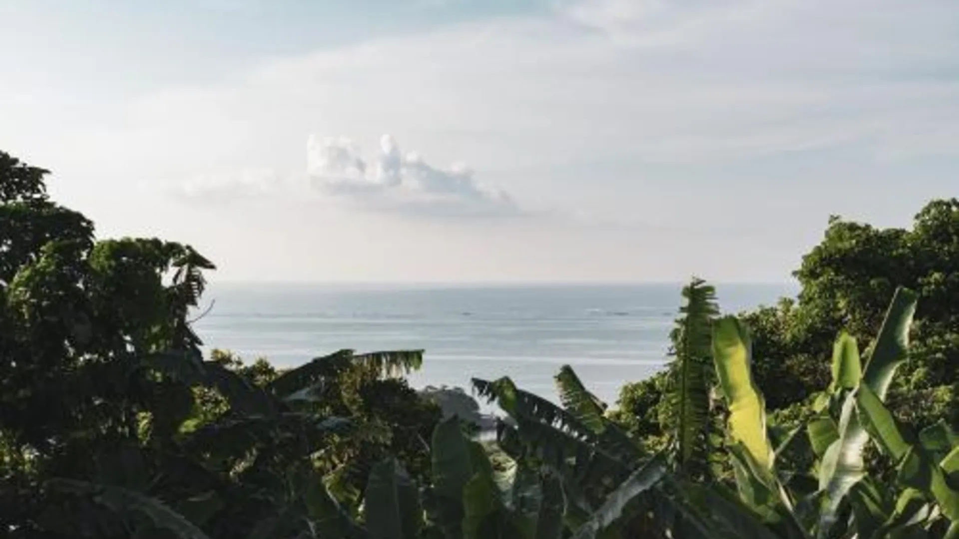 오키나와 본섬 momo 4성급 싱글룸 레스토랑